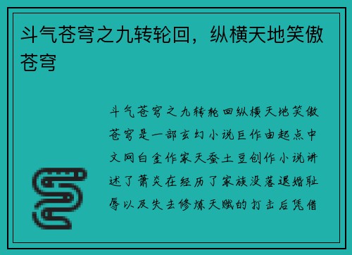 斗气苍穹之九转轮回，纵横天地笑傲苍穹
